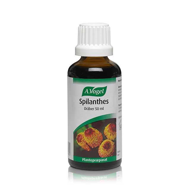 A Vogel Spilanthes Bull 50ml