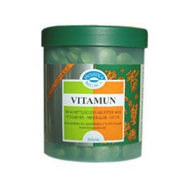 Holistica Medica Vitamun 300 Tabl - Dit daglige kosttilskud