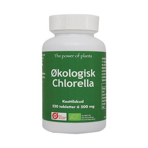 Chlorella ø  320tab