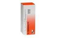 Dr  Reckeweg R 1  Bull  50 Ml