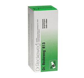 Dr. Reckeweg R 13 Bull 50 ml - Effektiv homøopatisk behandling