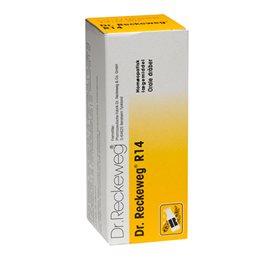 Dr. Reckeweg R 14 Bull 50 Ml - Effektiv Homøopatisk Behandling