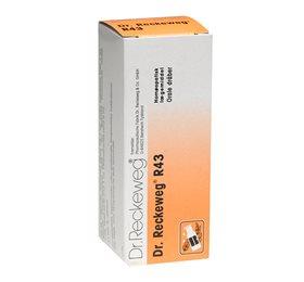 Dr. Reckeweg R 43 Bull - Homøopatisk middel 50 ml