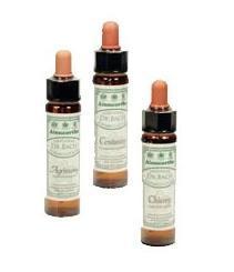 Dr. Bach Eg Engholm 10ml - Naturlig wellness til dig