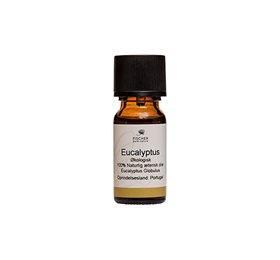 Økologisk Eucalyptusolie fra Fischer Pure Nature 10ml
