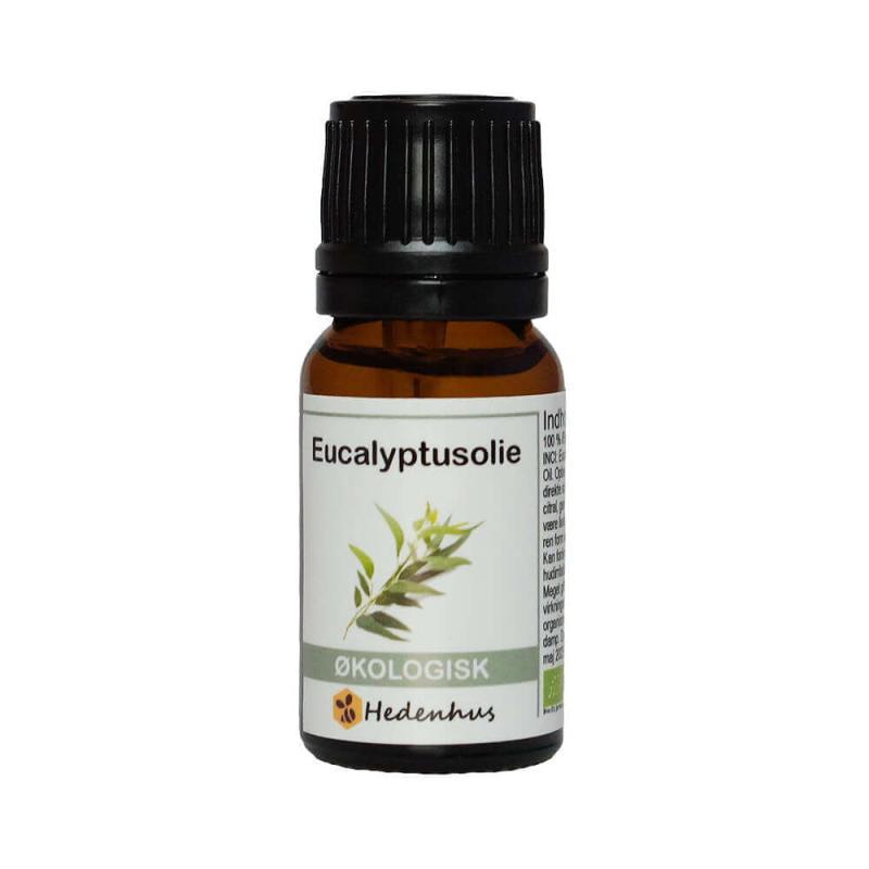 Økologisk Eucalyptusolie 10 ml til aromaterapi og skønhed