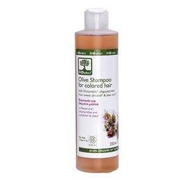 Bioselect Oliven Shampoo til Farvet Hår - 200ml