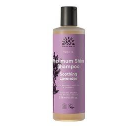 Urtekram Shampoo Soothing Lavender 250ml