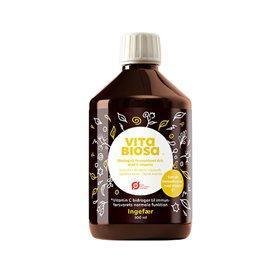 Vita Biosa Ingefær Økologisk Drik 500ml - Sundhedstilbud!