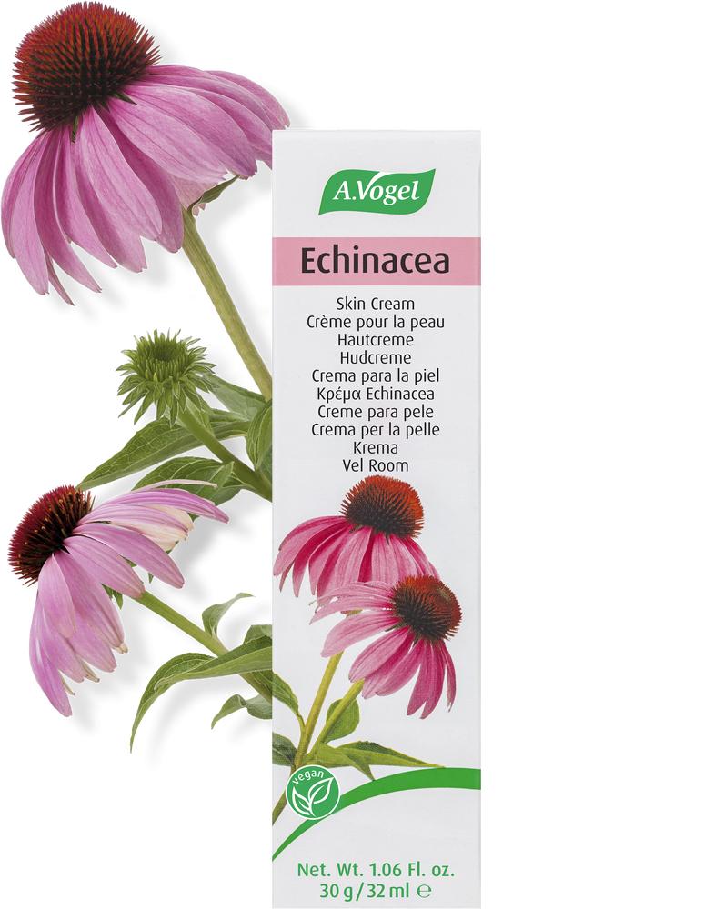 A  Vogel Echinacea Creme 32ml