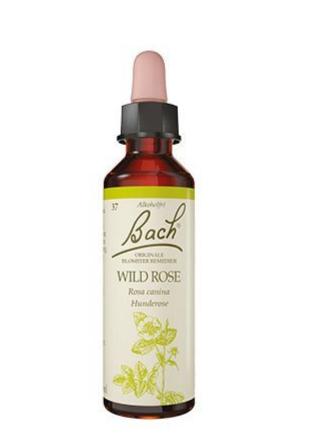 Bach Hunderose 10ml
