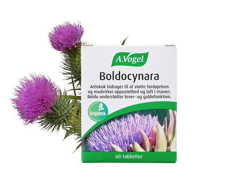 A  Vogel Boldocynara Tabletter 60 Tabl