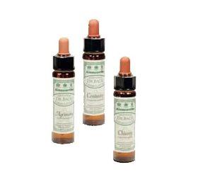 Dr Bach ægte Kastanie Bull 10ml X