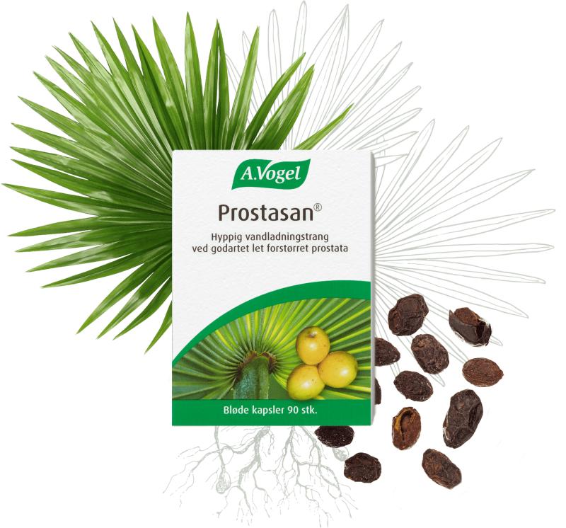 A  Vogel Prostasan 90 Kaps