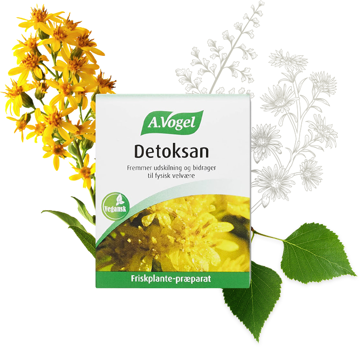 A Vogel Detoksan 60 Tabletter