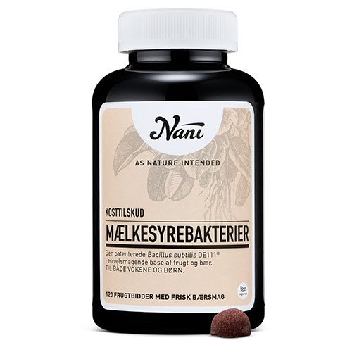 Mælkesyrebakterier 120 Gum