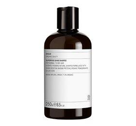 Evolve Shampoo Superfood Shine 250 Ml