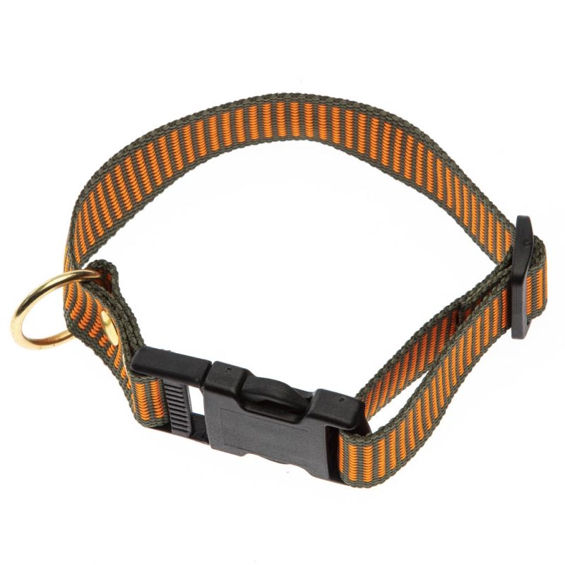 2 Farvet Halsbånd   Orange   Grøn Halsrem 25 Mm X 60 Cm