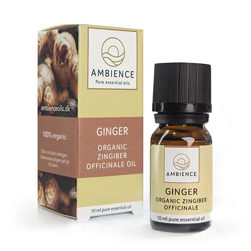 Ambience Ingefær Olie  øko   10 Ml