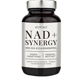 Nordbo Nordbo Nad Synergy 40 Kap