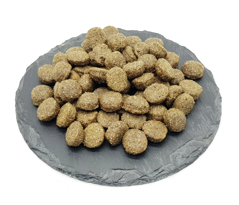 Foderprøve Sportsman S Pride Classic Lamb   Rice  Grøn    Voksenfoder Til Hunde