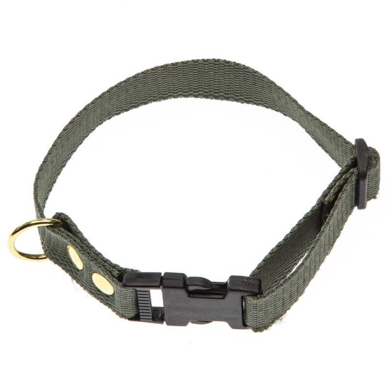 Grønt Halsbånd   Halsrem 20 Mm X 40 Cm I Webbing